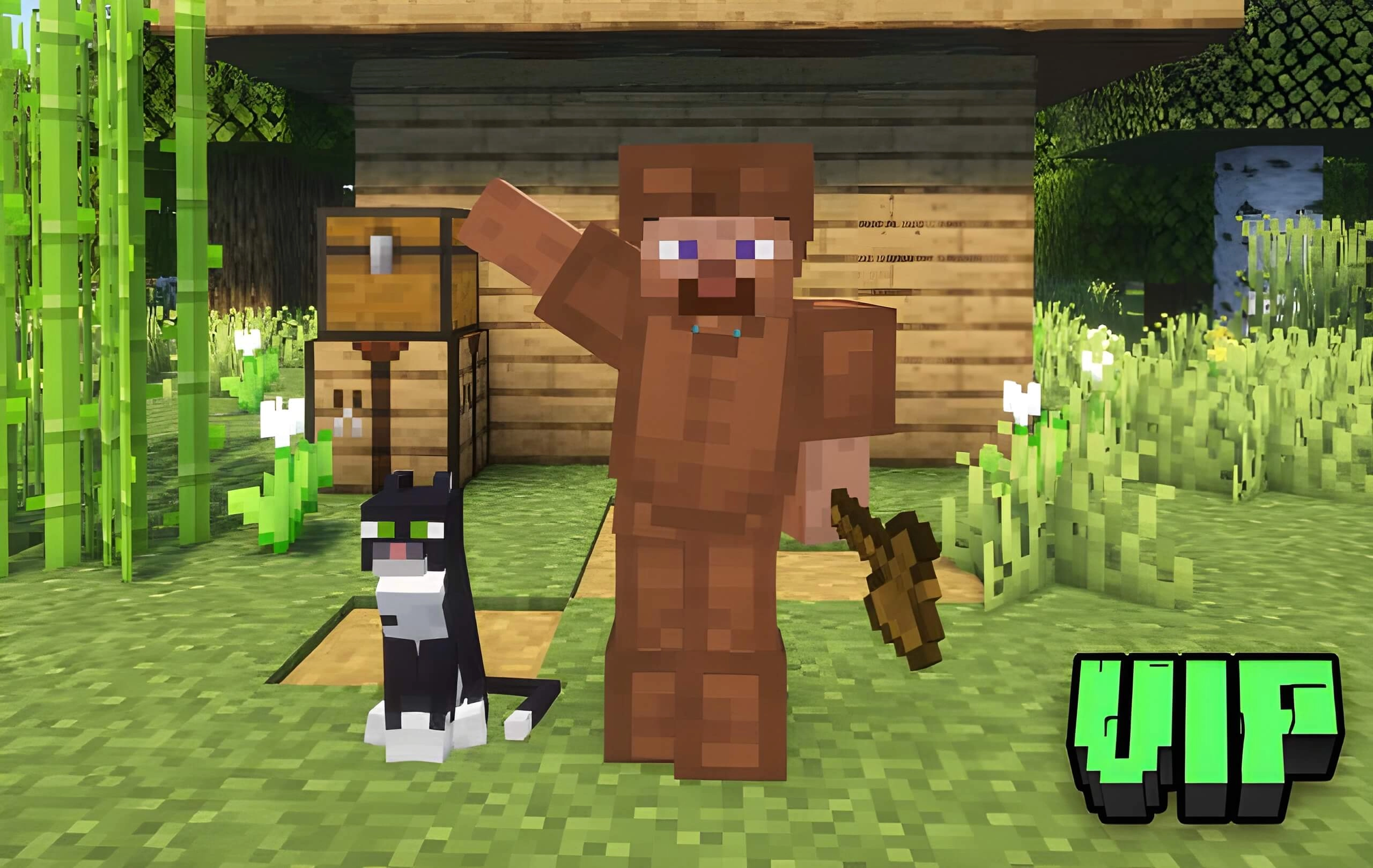 Статус ВИП (VIP)